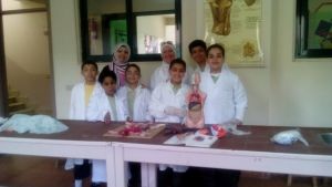 Upper Primary Science Activity