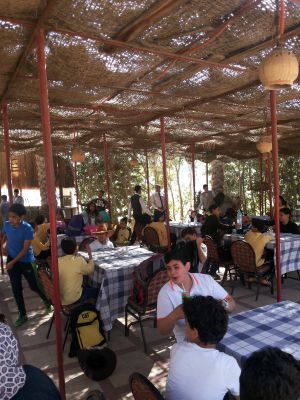 Trip to the"Arabian Horses" Farm 2016